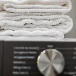 Apartment Residenze Coltellini Stanza Salvia *